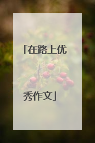 在路上优秀作文