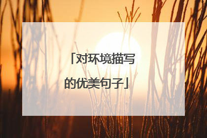 对环境描写的优美句子