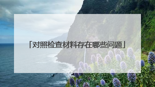 对照检查材料存在哪些问题