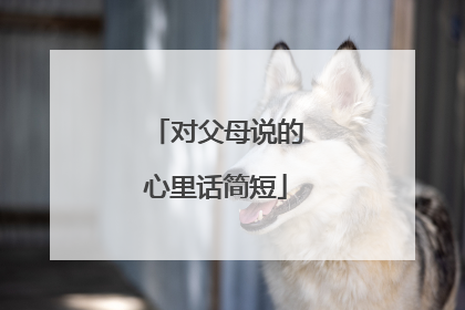 对父母说的心里话简短