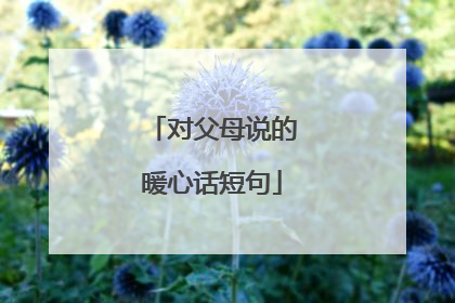对父母说的暖心话短句