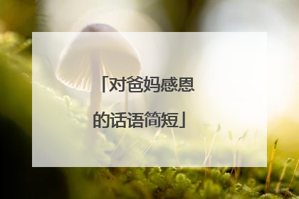 对爸妈感恩的话语简短