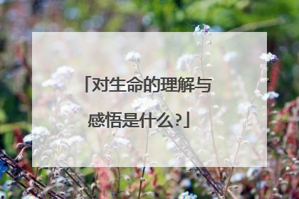 对生命的理解与感悟是什么?