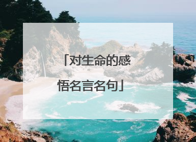 对生命的感悟名言名句