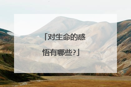 对生命的感悟有哪些?