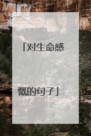 对生命感慨的句子
