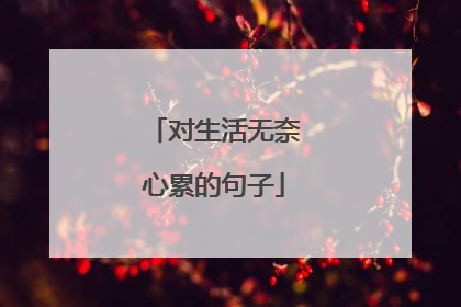 对生活无奈心累的句子