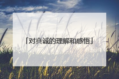 对真诚的理解和感悟