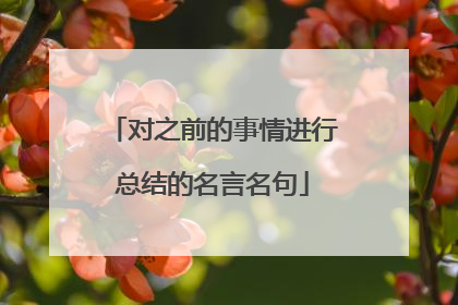 对之前的事情进行总结的名言名句