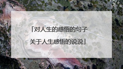 对人生的感悟的句子 关于人生感悟的说说