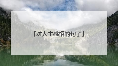 对人生感悟的句子