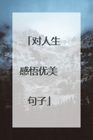 对人生感悟优美句子