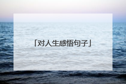 对人生感悟句子