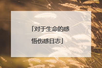 对于生命的感悟伤感日志