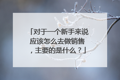 对于一个新手来说 应该怎么去做销售,主要的是什么?