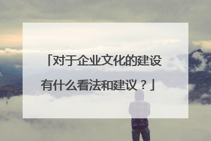 对于企业文化的建设有什么看法和建议?