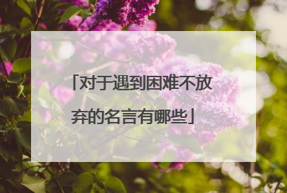 对于遇到困难不放弃的名言有哪些