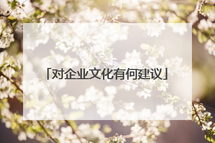 对企业文化有何建议
