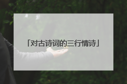 对古诗词的三行情诗