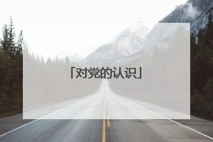 对党的认识