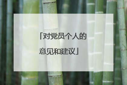 对党员个人的意见和建议