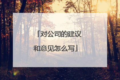 对公司的建议和意见怎么写