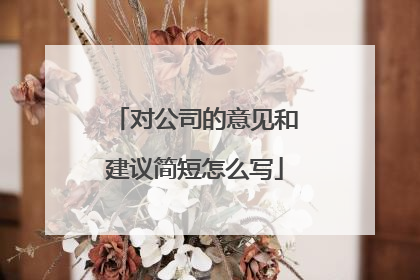 对公司的意见和建议简短怎么写