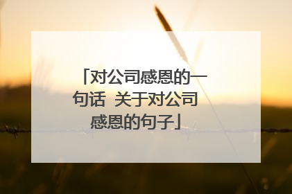 对公司感恩的一句话 关于对公司感恩的句子