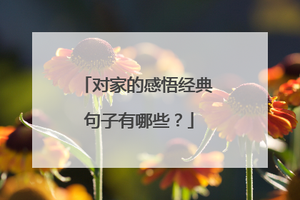 对家的感悟经典句子有哪些？