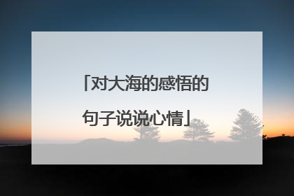 对大海的感悟的句子说说心情