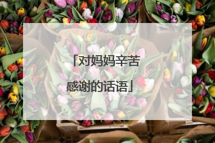 对妈妈辛苦感谢的话语