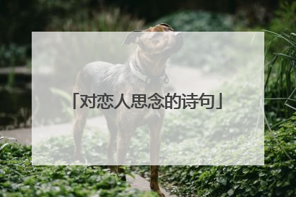 对恋人思念的诗句