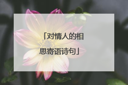 对情人的相思寄语诗句