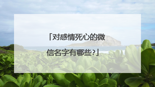 对感情死心的微信名字有哪些?