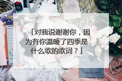 对我说谢谢你,因为有你温暖了四季是什么歌的歌词?