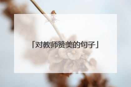 对教师赞美的句子