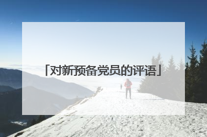 对新预备党员的评语