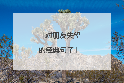 对朋友失望的经典句子