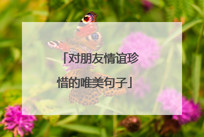 对朋友情谊珍惜的唯美句子