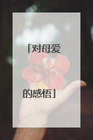 对母爱的感悟