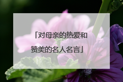 对母亲的热爱和赞美的名人名言