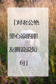 对老公绝望心凉的朋友圈说说短句