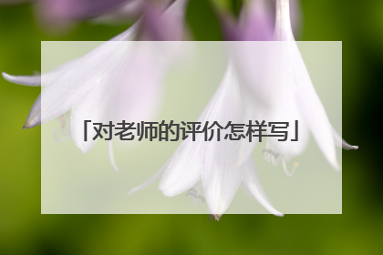 对老师的评价怎样写