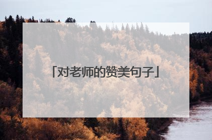 对老师的赞美句子