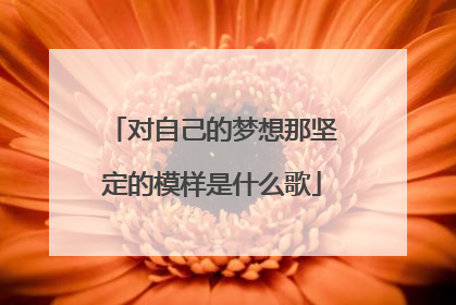 对自己的梦想那坚定的模样是什么歌