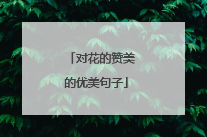 对花的赞美的优美句子