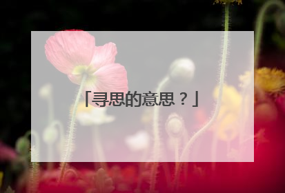 寻思的意思？