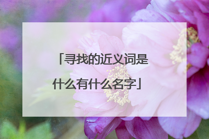 寻找的近义词是什么有什么名字