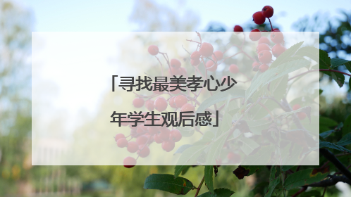 寻找最美孝心少年学生观后感
