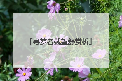 寻梦者戴望舒赏析